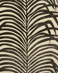 Zebra Palm Sisal Black On Ivory by  Schumacher Wallpaper 
