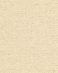 Poiret Satin Platinum by  Schumacher Fabric 