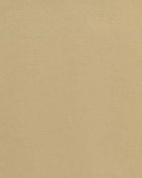 Laurent Cotton Satin Chamois by  Schumacher Fabric 