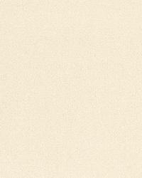 Chavenay Silk Satin Oyster by  Schumacher Fabric 