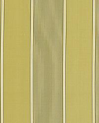 Sophia Silk Stripe Willow by  Schumacher Fabric 