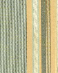 Vivien Silk Stripe Rouge by  Schumacher Fabric 