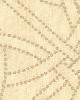 Schumacher Fabric DURANCE EMBROIDERY LIMESTONE