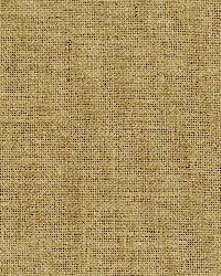 Antrim Jute Plain Burlap by  Schumacher Fabric 