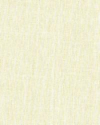 Emilia Sheer Straw by  Schumacher Fabric 