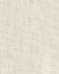 Ophelia Sheer Ivory by  Schumacher Fabric 