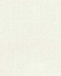 Cordelia Sheer Bone by  Schumacher Fabric 