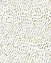 Adina Sheer Embroidery Parchment by  Schumacher Fabric 