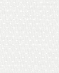 Rosabel Dot Sheer White by  Schumacher Fabric 