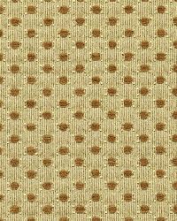 Monserat Chenille Camel by  Schumacher Fabric 