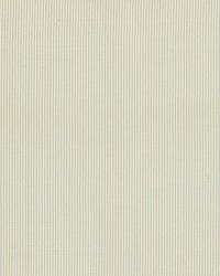 Charee Silk Stripe Light Blue  White by  Schumacher Fabric 