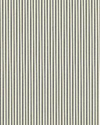 Charee Silk Stripe Black  White by  Schumacher Fabric 