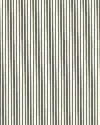 Charee Silk Stripe Black  White by  Schumacher Fabric 