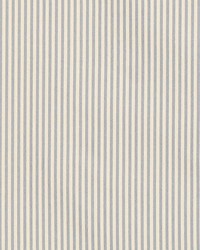 Charee Silk Stripe Blue And White by  Schumacher Fabric 