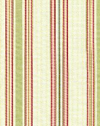 Biella Silk Stripe Berry by  Schumacher Fabric 