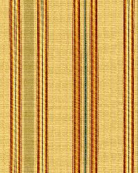 Biella Silk Stripe Spice by  Schumacher Fabric 
