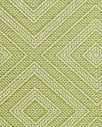 Tortola Kiwi by  Schumacher Fabric 