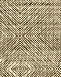 Tortola Driftwood by  Schumacher Fabric 