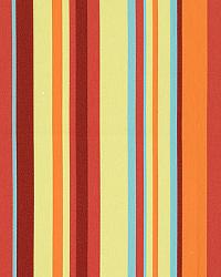 Delray Stripe Sorbet by  Schumacher Fabric 