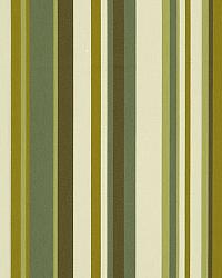 Delray Stripe Avocado by  Schumacher Fabric 