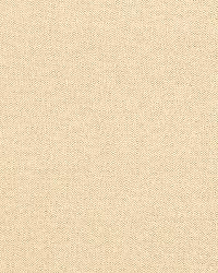 Bedford Herringbone Plain Ivory by  Schumacher Fabric 