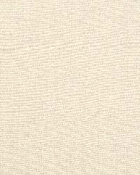 Avery Cotton Plain Ivory by  Schumacher Fabric 