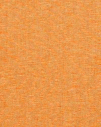 Avery Cotton Plain Pumpkin by  Schumacher Fabric 