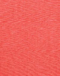 Avery Cotton Plain Coral by  Schumacher Fabric 