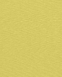 Avery Cotton Plain Pear by  Schumacher Fabric 