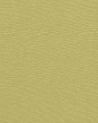 Avery Cotton Plain Sage by  Schumacher Fabric 