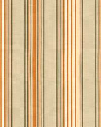Saratoga Cotton Stripe Beige   Mocha   Pumpkin by  Schumacher Fabric 