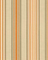 Saratoga Cotton Stripe Beige   Mocha   Pumpkin by  Schumacher Fabric 