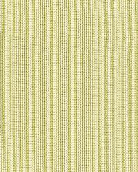 Baker Cotton Stripe Ivory  Pear  Sage by  Schumacher Fabric 