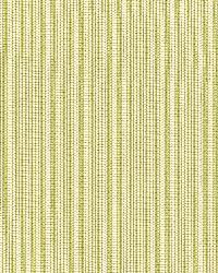 Baker Cotton Stripe Ivory  Pear  Sage by  Schumacher Fabric 