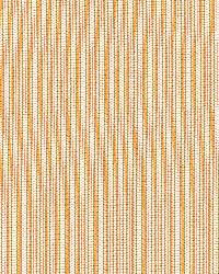 Baker Cotton Stripe Ivory Rose Sage by  Schumacher Fabric 