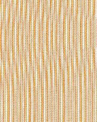 Baker Cotton Stripe Ivory Rose Sage by  Schumacher Fabric 