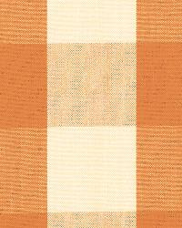 Camden Cotton Check Pumpkin by  Schumacher Fabric 