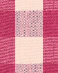 Camden Cotton Check Raspberry by  Schumacher Fabric 