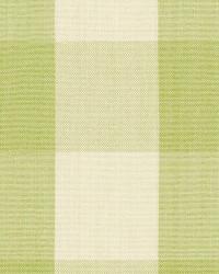 Camden Cotton Check Sage by  Schumacher Fabric 