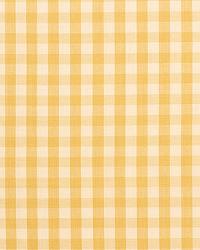 Elton Cotton Check Straw by   