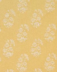 Astara Paisley Maize by  Schumacher Fabric 