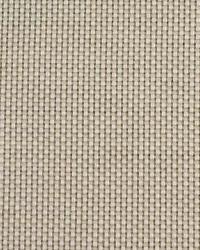 Hager Texture Pearl by  Schumacher Fabric 
