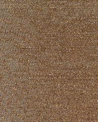 Bellini Silk Antelope by  Schumacher Fabric 