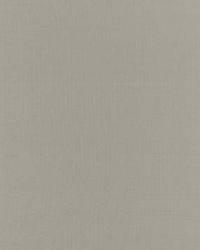 Botticelli Silk Taffeta Fog by  Schumacher Fabric 