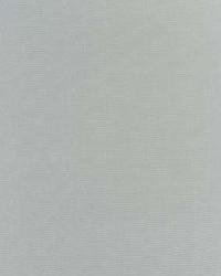 Botticelli Silk Taffeta Mineral by  Schumacher Fabric 