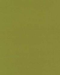 Botticelli Silk Taffeta Apple by  Schumacher Fabric 