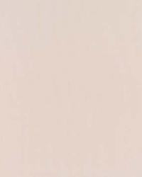 Botticelli Silk Taffeta Shell by  Schumacher Fabric 