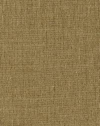 Tiepolo Shantung Weave Mica by   