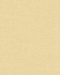 Tiepolo Shantung Weave Ivory by   