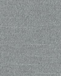 Tiepolo Shantung Weave Fog by   
